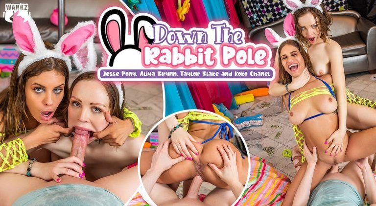 WankzVR - Down The Rabbit Pole